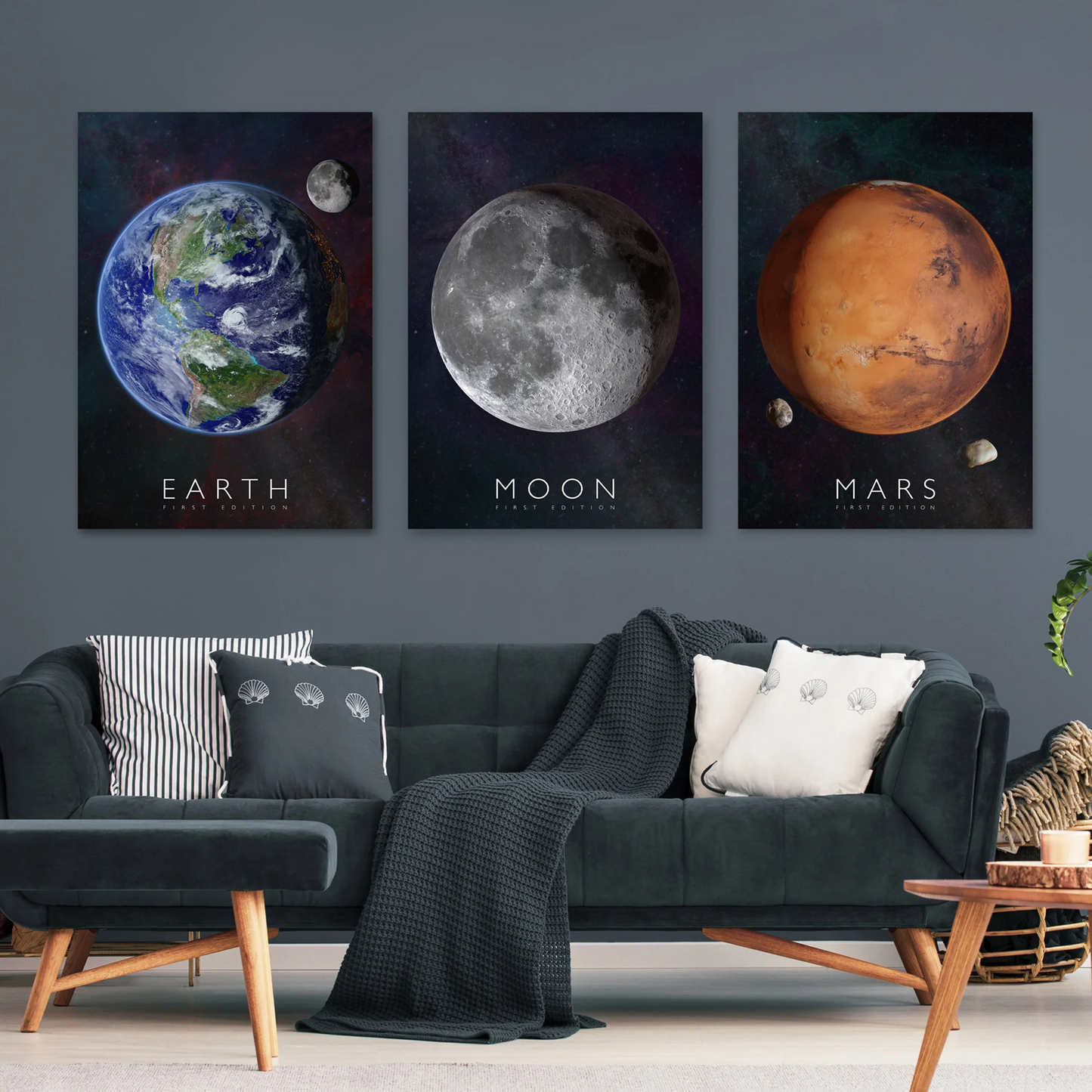 Curiscope Multiverse Interactive Posters