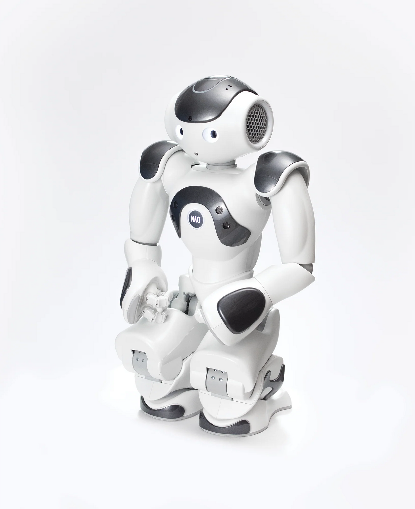 SoftBank Robotics NAO V6 Standard Edition